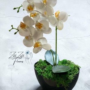 Örök fehér orchidea kompozíció sötétszürke kaspóban - otthon & életmód - virágdekoráció - virágdíszek - asztali virágdísz - Meska.hu