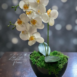 Örök fehér orchidea kompozíció sötétszürke kaspóban - otthon & életmód - virágdekoráció - virágdíszek - asztali virágdísz - Meska.hu