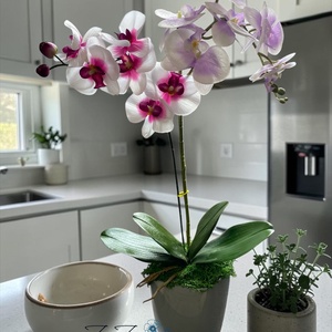 Örök pink-fehér orchidea kompozíció szürke kaspóban - otthon & életmód - dekoráció - asztal és polc dekoráció - asztaldísz - Meska.hu