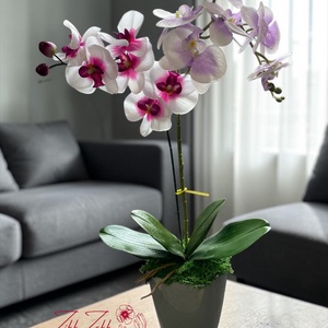 Örök pink-fehér orchidea kompozíció szürke kaspóban - otthon & életmód - dekoráció - asztal és polc dekoráció - asztaldísz - Meska.hu