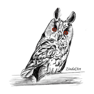 Bagoly grafika, falikép, Művészet, Grafika & Illusztráció, Művészi nyomat, Festészet, MESKA