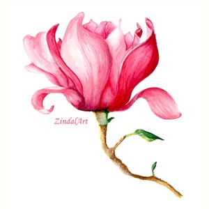 Magnólia akvarell falikép, Művészet, Grafika & Illusztráció, Művészi nyomat, Festészet, MESKA