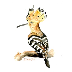 Búbosbanka � Akvarell falikép / nyomat, Művészet, Grafika & Illusztráció, Művészi nyomat, Festészet, MESKA