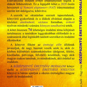Kidolgozott érettségi tételek könyv  (BŐVÍTETT KIADÁS) - könyv & zene - könyv - Meska.hu