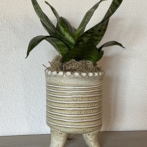 Kerámia kaspó - Meska.hu