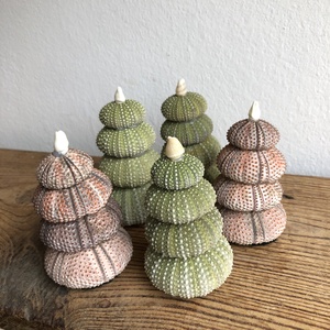 Tengerisün karácsonyfa (upcycling), Otthon & Életmód, Dekoráció, Asztal és polc dekoráció, Asztaldísz, Mindenmás, MESKA