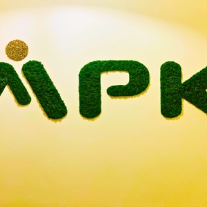 Zúzmó betű vagy logo - otthon & életmód - dekoráció - asztal és polc dekoráció - zuzmódekoráció, mohadekoráció - Meska.hu