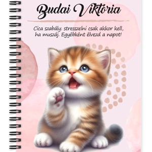 Személyre szabható - Pacsis vörös cicus mintás A6-os füzet, Otthon & Életmód, Papír, írószer, Jegyzetfüzet & Napló, , MESKA