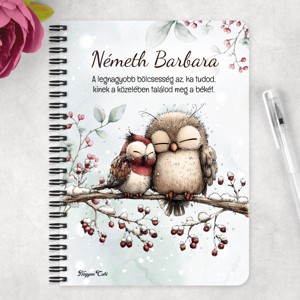 Személyre szabható - Cuki téli baglyocskák mintás A6-os füzet - otthon & életmód - papír, írószer - jegyzetfüzet & napló - Meska.hu