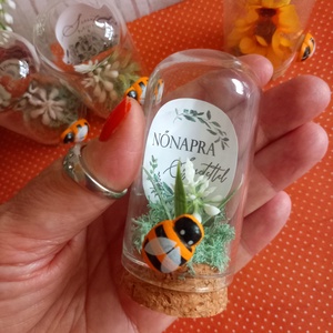 Mini üvegbúra méhecskés 1db - otthon & életmód - dekoráció - asztal és polc dekoráció - asztaldísz - Meska.hu