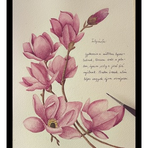 Akvarell tulipánfa, Művészet, Festmény, Akvarell, Festészet, MESKA