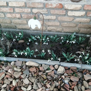 Hóvirág fából.  - otthon & életmód - dekoráció - Meska.hu