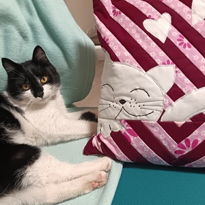 Cicás díszpárna kollekció (rózsaszín) - baba - mama - babaszoba dekoráció - gyerek díszpárna - Meska.hu