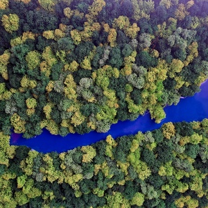 Zúzmó kép Balatonnal - Meska.hu