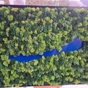 Zúzmó kép Balatonnal - otthon & életmód - dekoráció - asztal és polc dekoráció - zuzmódekoráció, mohadekoráció - Meska.hu