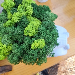 Zúzmó Vonat,Autó - otthon & életmód - dekoráció - asztal és polc dekoráció - zuzmódekoráció, mohadekoráció - Meska.hu