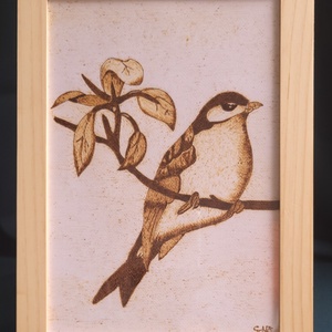 Énekes madár, Művészet, Grafika & Illusztráció, Egyéb rajzok, Gravírozás, pirográfia, MESKA