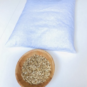 Bio tönkölypelyva párna párnahuzattal - szépségápolás - egészségmegőrzési kellékek - tönkölypelyvapárna - Meska.hu