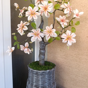 Egyedi magnólia  fa 85cm magas tavaszi dekor  - otthon & életmód - dekoráció - asztal és polc dekoráció - bonsai - Meska.hu