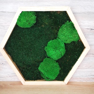 Hexagon mohakép 1, Otthon & Életmód, Dekoráció, Fali és függő dekoráció, Falra akasztható dekor, Mindenmás, MESKA