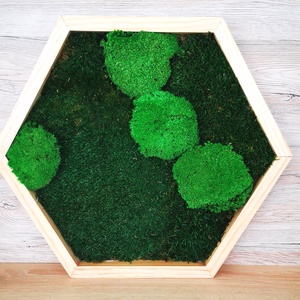 Hexagon mohakép 1 - otthon & életmód - dekoráció - fali és függő dekoráció - falra akasztható dekor - Meska.hu