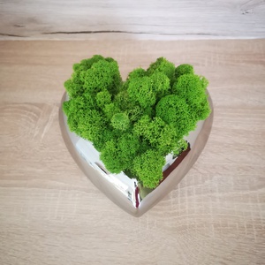Szív alakú kaspó izlandi zuzmóval  - otthon & életmód - dekoráció - asztal és polc dekoráció - asztaldísz - Meska.hu
