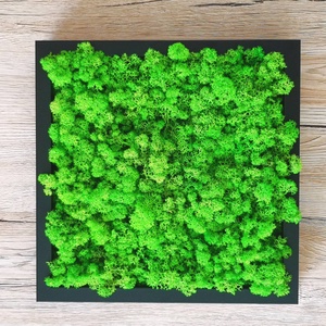 27x27 cm zuzmókép - otthon & életmód - dekoráció - fali és függő dekoráció - zuzmókép, mohakép - Meska.hu