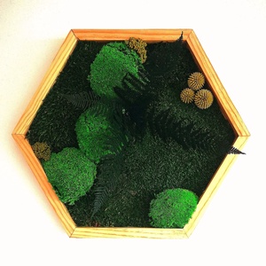 Hexagon mohakép páfránnyal, Otthon & Életmód, Dekoráció, Fali és függő dekoráció, Zuzmókép, Mohakép, Mindenmás, MESKA