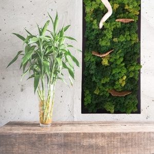 Zuzmókép gombával 25x60 cm FOREST 2., Otthon & Életmód, Dekoráció, Fali és függő dekoráció, Zuzmókép, Mohakép, , MESKA