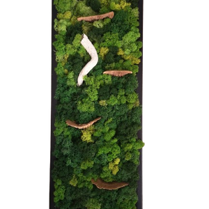 Zuzmókép gombával 25x60 cm FOREST 2. - otthon & életmód - dekoráció - fali és függő dekoráció - zuzmókép, mohakép - Meska.hu