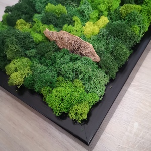 Zuzmókép gombával 25x60 cm FOREST 2. - otthon & életmód - dekoráció - fali és függő dekoráció - zuzmókép, mohakép - Meska.hu