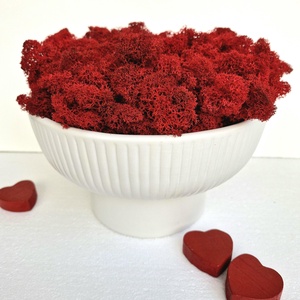 Egyedi asztaldísz piros izlandi zuzmóval - Valentin napra, Otthon & Életmód, Dekoráció, Asztal és polc dekoráció, Zuzmódekoráció, Mohadekoráció, , MESKA