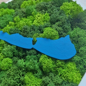 BALATON kör alakú 30 cm zuzmókép, zuzmódekoráció - otthon & életmód - dekoráció - fali és függő dekoráció - zuzmókép, mohakép - Meska.hu