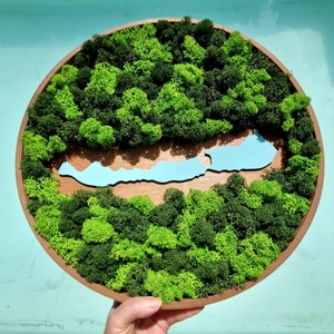 BALATON zuzmókép, falikép 38 cm, Otthon & Életmód, Dekoráció, Fali és függő dekoráció, Zuzmókép, Mohakép, , MESKA