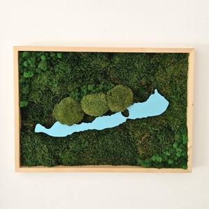 3D Balaton falikép mohával és zuzmóval 70x50 cm, Otthon & Életmód, Dekoráció, Fali és függő dekoráció, Zuzmókép, Mohakép, , MESKA