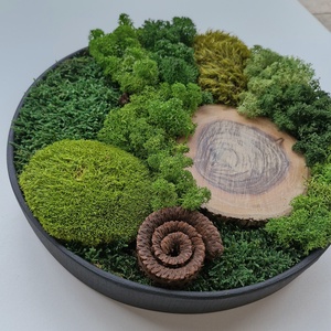 Mohakép/zuzmókép - FOREST 3 kör alakú - otthon & életmód - dekoráció - fali és függő dekoráció - zuzmókép, mohakép - Meska.hu