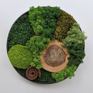 Mohakép/zuzmókép - FOREST 3 kör alakú, Otthon & Életmód, Dekoráció, Fali és függő dekoráció, Zuzmókép, Mohakép, , MESKA