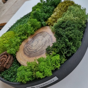 Mohakép/zuzmókép - FOREST 3 kör alakú - otthon & életmód - dekoráció - fali és függő dekoráció - zuzmókép, mohakép - Meska.hu