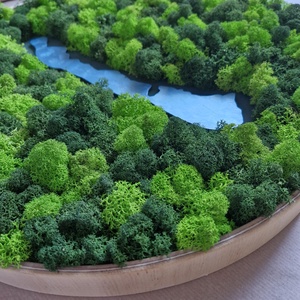 BALATON zuzmókép, falikép 45 cm  - otthon & életmód - dekoráció - fali és függő dekoráció - zuzmókép, mohakép - Meska.hu