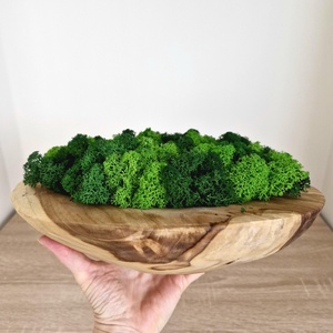  Nagy fatál asztali dísz többszínű zuzmóval 30 cm - zuzmódísz, zuzmótál, mohatál - Meska.hu