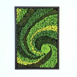 Mohafestmény 'SPIRÁL' 50x70 cm (mohakép/zuzmókép), Otthon & Életmód, Dekoráció, Fali és függő dekoráció, Zuzmókép, Mohakép, , MESKA