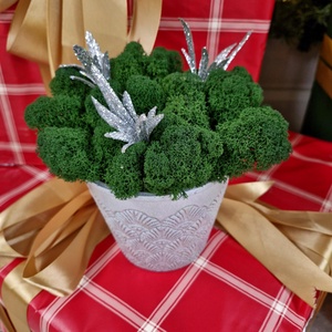 Elegáns kaspó izlandi zuzmóval (kivehető) ezüst díszekkel - otthon & életmód - dekoráció - asztal és polc dekoráció - zuzmódekoráció, mohadekoráció - Meska.hu