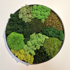 Mohakép/zuzmókép - FOREST 4 kör alakú - Meska.hu