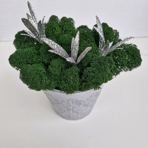 Elegáns kaspó izlandi zuzmóval (kivehető) ezüst díszekkel - Meska.hu