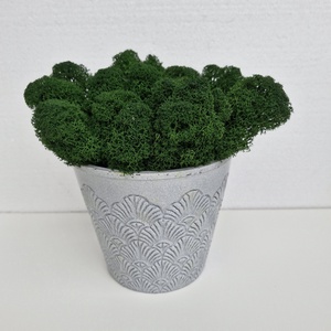 Elegáns kaspó izlandi zuzmóval (kivehető) ezüst díszekkel - otthon & életmód - dekoráció - asztal és polc dekoráció - zuzmódekoráció, mohadekoráció - Meska.hu