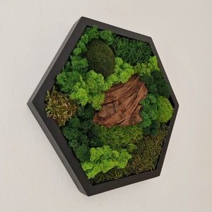 Hexagon mohakép egzotikus fával 45 cm - otthon & életmód - dekoráció - fali és függő dekoráció - zuzmókép, mohakép - Meska.hu