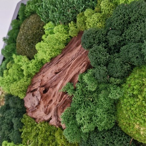 Hexagon mohakép egzotikus fával 45 cm - otthon & életmód - dekoráció - fali és függő dekoráció - zuzmókép, mohakép - Meska.hu