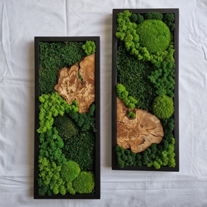 PÁROS mohakép olajfa szelettel 25 x 60 cm - 2 db - otthon & életmód - dekoráció - fali és függő dekoráció - zuzmókép, mohakép - Meska.hu