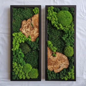 PÁROS mohakép olajfa szelettel 25 x 60 cm - 2 db, Otthon & Életmód, Dekoráció, Fali és függő dekoráció, Zuzmókép, Mohakép, Mindenmás, MESKA