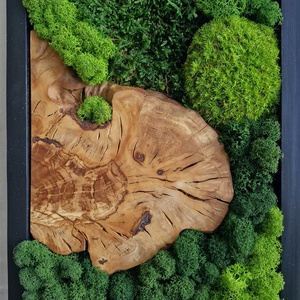 PÁROS mohakép olajfa szelettel 25 x 60 cm - 2 db - otthon & életmód - dekoráció - fali és függő dekoráció - zuzmókép, mohakép - Meska.hu